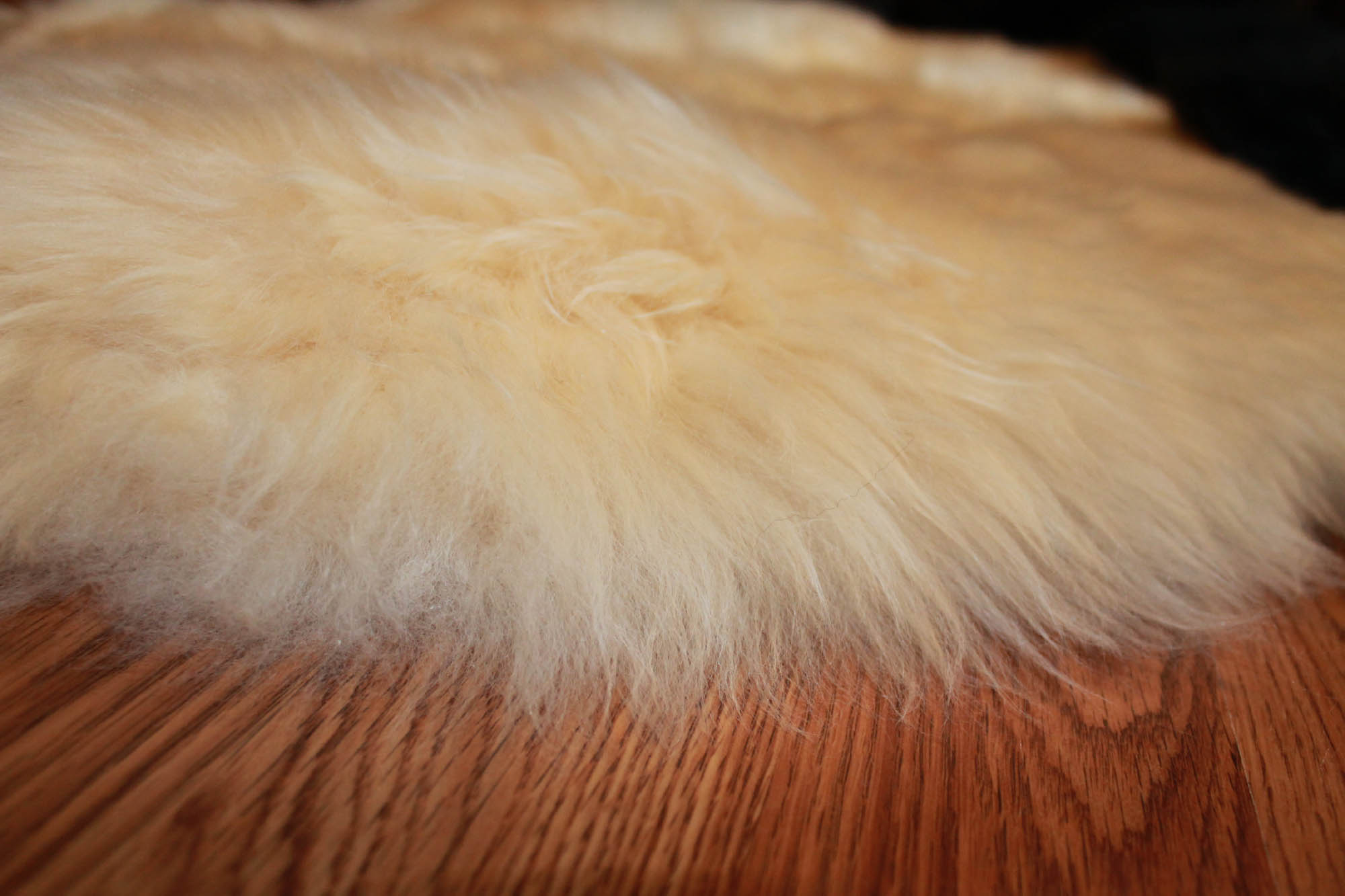 100% Genuine Sheepskin Motorcycle Seat Cover (Long - Natural White Color)