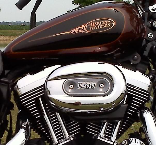 Harley-Davidson 1200C Sportster